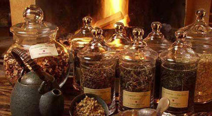 Le Samovar Guest House