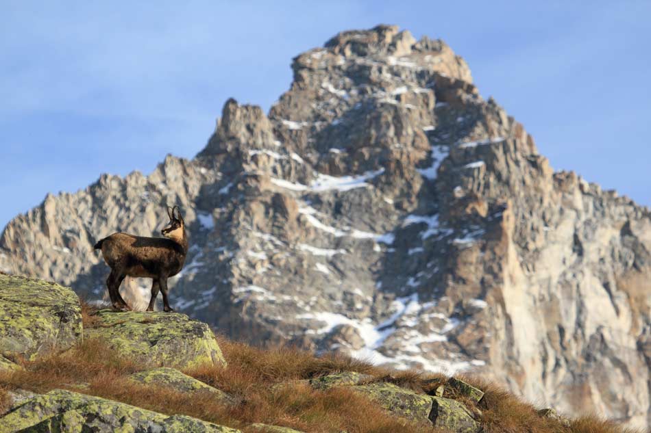 parchi Valle d'Aosta